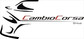 Logo Cambiocorsa Group